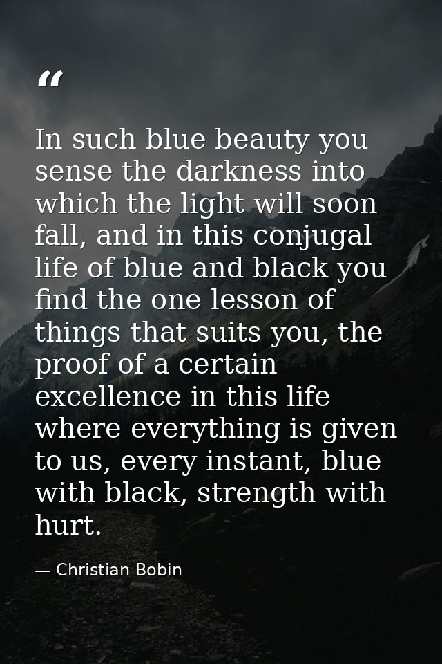 In such blue beauty you sense the darkness into which the light will soon fall, and in this conjugal life of blue and bl — Christian Bobin