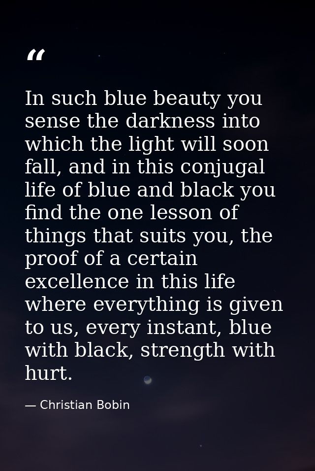 In such blue beauty you sense the darkness into which the light will soon fall, and in this conjugal life of blue and bl — Christian Bobin