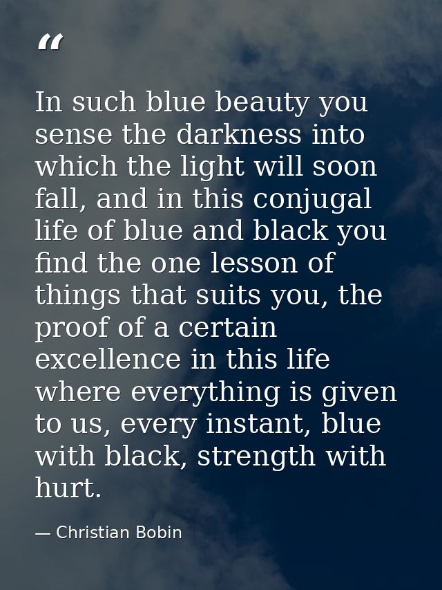 In such blue beauty you sense the darkness into which the light will soon fall, and in this conjugal life of blue and bl — Christian Bobin