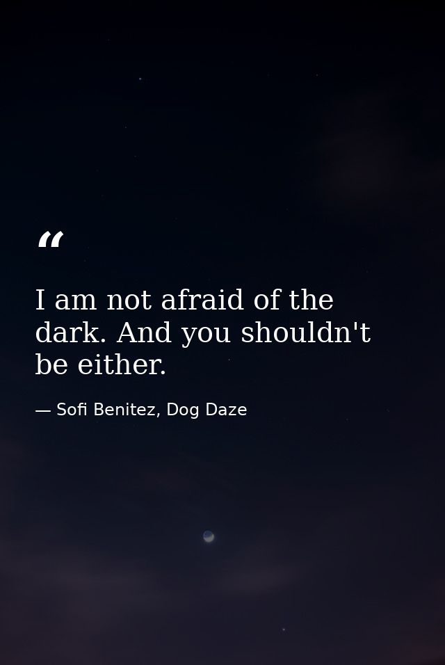 I am not afraid of the dark. And you shouldn't be either. — Sofi Benitez, Dog Daze