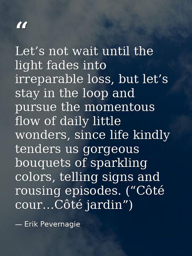 Let’s not wait until the light fades into irreparable loss, but let’s stay in the loop and pursue the momentous flow of  — Erik Pevernagie