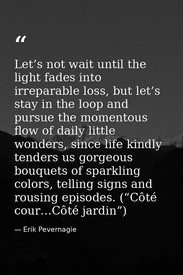 Let’s not wait until the light fades into irreparable loss, but let’s stay in the loop and pursue the momentous flow of  — Erik Pevernagie
