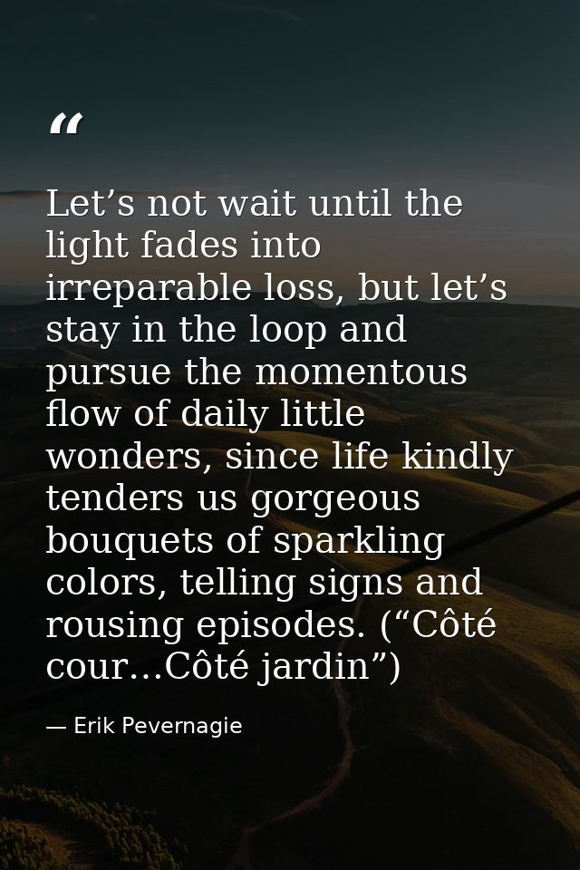 Let’s not wait until the light fades into irreparable loss, but let’s stay in the loop and pursue the momentous flow of  — Erik Pevernagie