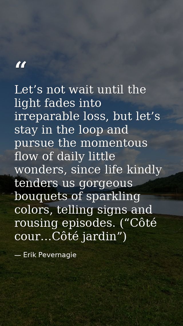 Let’s not wait until the light fades into irreparable loss, but let’s stay in the loop and pursue the momentous flow of  — Erik Pevernagie