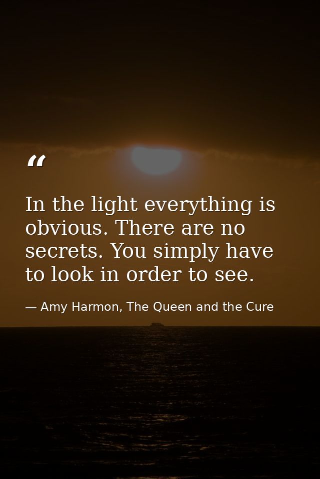 In the light everything is obvious. There are no secrets. You simply have to look in order to see. — Amy Harmon, The Queen and the Cure