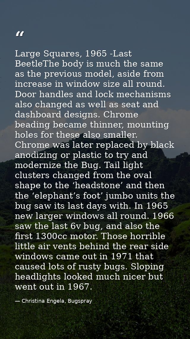 Large Squares, 1965 -Last BeetleThe body is much the same as the previous model, aside from increase in window size all  — Christina Engela, Bugspray
