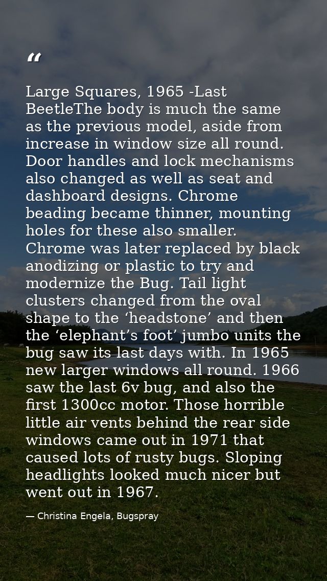 Large Squares, 1965 -Last BeetleThe body is much the same as the previous model, aside from increase in window size all  — Christina Engela, Bugspray