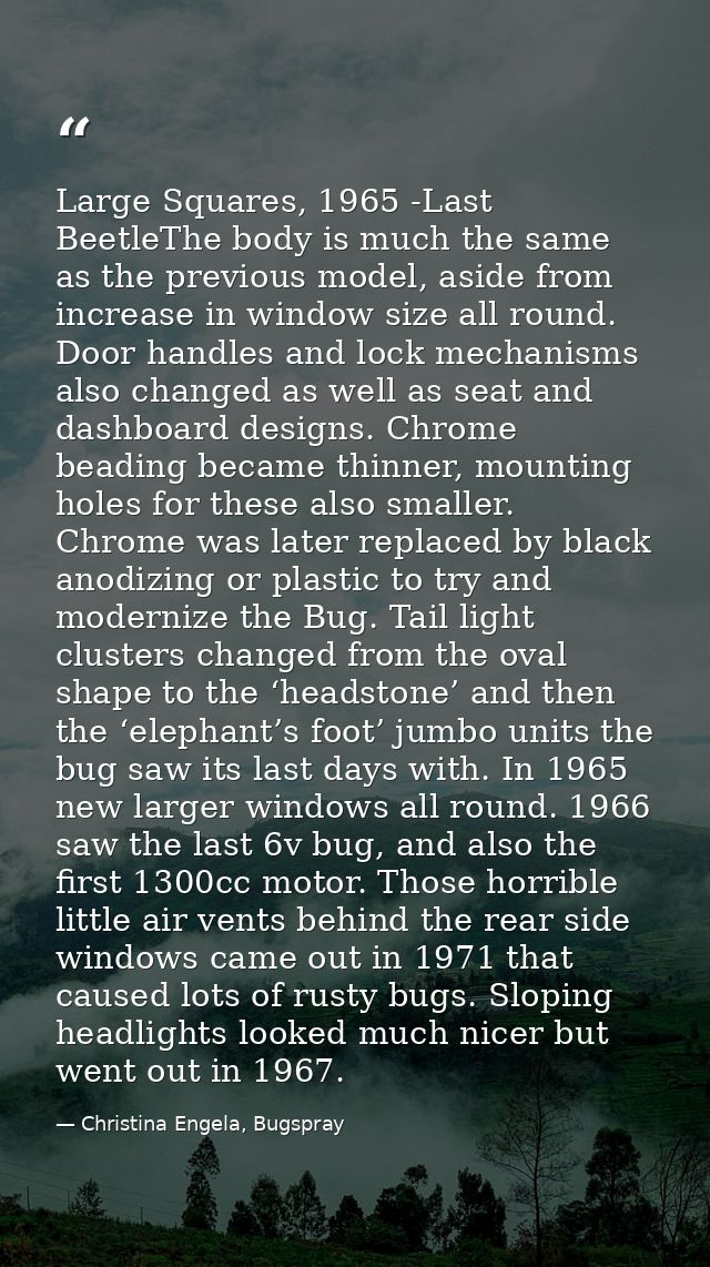 Large Squares, 1965 -Last BeetleThe body is much the same as the previous model, aside from increase in window size all  — Christina Engela, Bugspray
