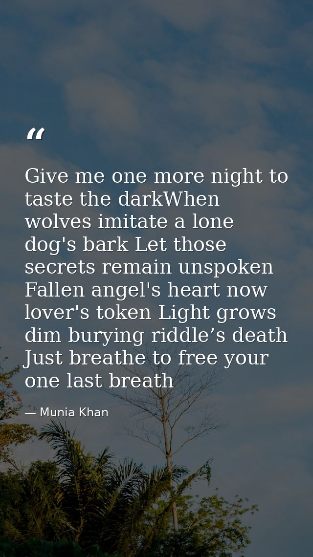 Give me one more night to taste the darkWhen wolves imitate a lone dog's bark Let those secrets remain unspoken Fallen a — Munia Khan