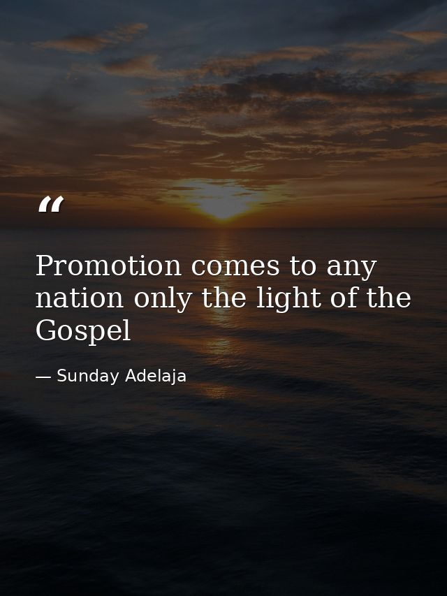 Promotion comes to any nation only the light of the Gospel — Sunday Adelaja