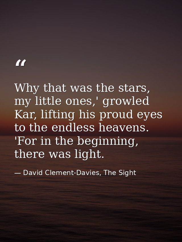 Why that was the stars, my little ones,' growled Kar, lifting his proud eyes to the endless heavens. 'For in the beginni — David Clement-Davies, The Sight