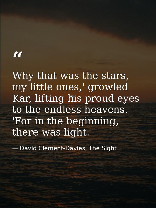 Why that was the stars, my little ones,' growled Kar, lifting his proud eyes to the endless heavens. 'For in the beginni — David Clement-Davies, The Sight