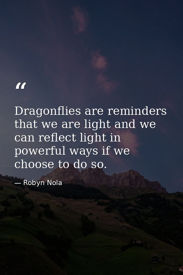 Dragonflies are reminders that we are light and we can reflect light in powerful ways if we choose to do so. — Robyn Nola