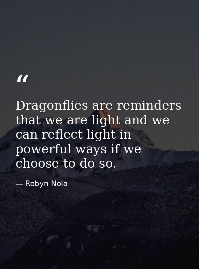 Dragonflies are reminders that we are light and we can reflect light in powerful ways if we choose to do so. — Robyn Nola