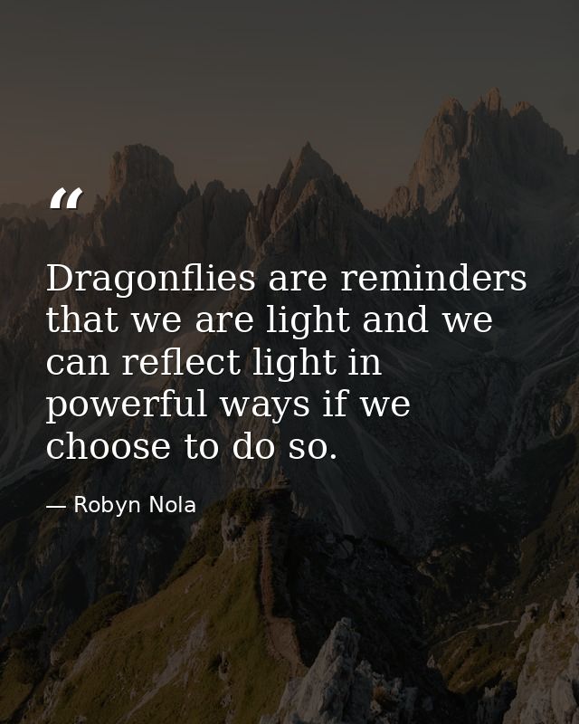 Dragonflies are reminders that we are light and we can reflect light in powerful ways if we choose to do so. — Robyn Nola