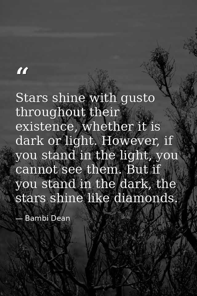 Stars shine with gusto throughout their existence, whether it is dark or light. However, if you stand in the light, you  — Bambi Dean