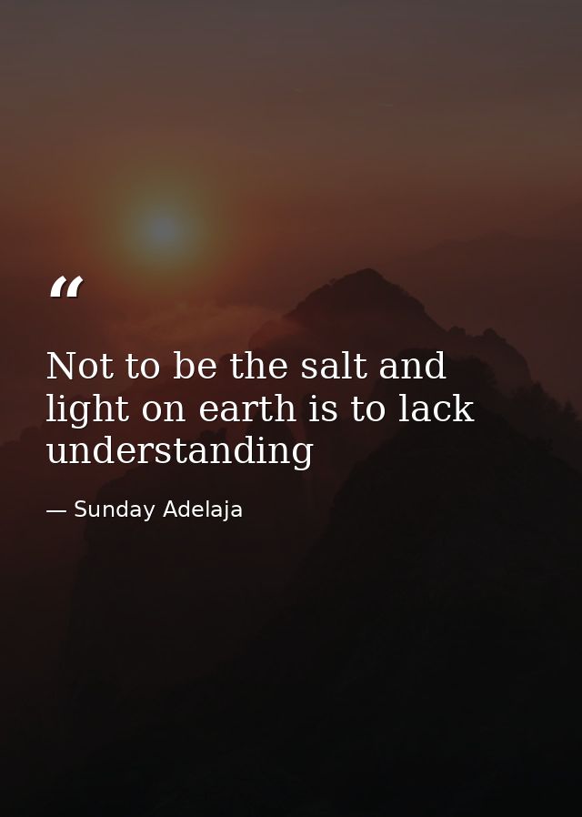 Not to be the salt and light on earth is to lack understanding — Sunday Adelaja