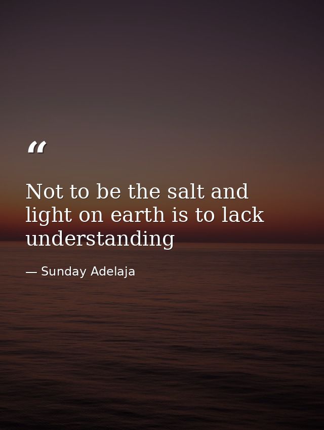 Not to be the salt and light on earth is to lack understanding — Sunday Adelaja