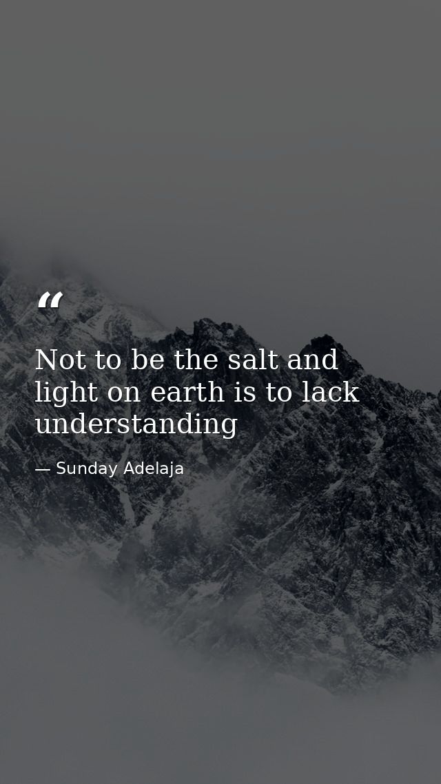 Not to be the salt and light on earth is to lack understanding — Sunday Adelaja