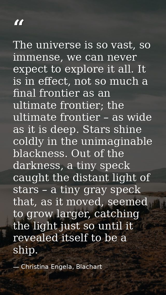 The universe is so vast, so immense, we can never expect to explore it all. It is in effect, not so much a final frontie — Christina Engela, Blachart