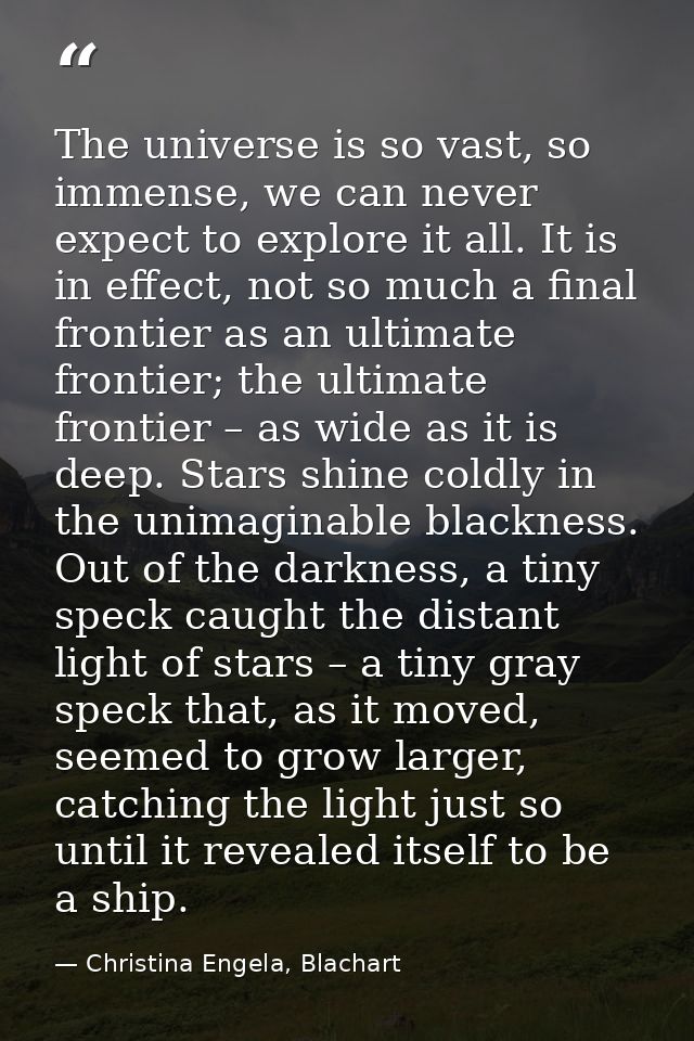 The universe is so vast, so immense, we can never expect to explore it all. It is in effect, not so much a final frontie — Christina Engela, Blachart