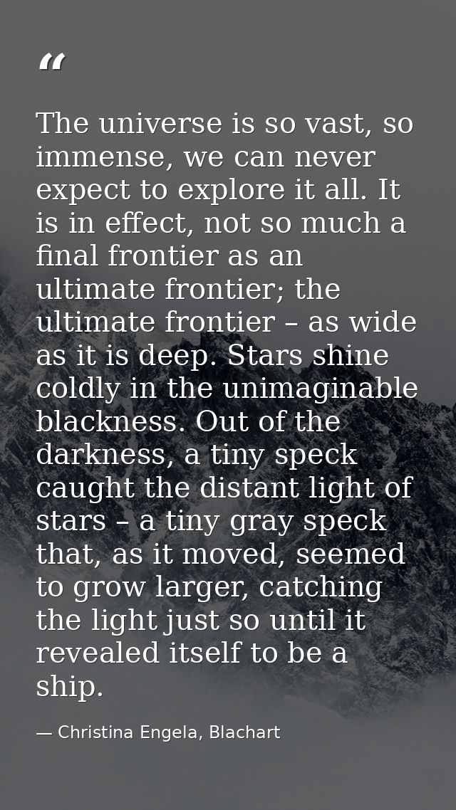 The universe is so vast, so immense, we can never expect to explore it all. It is in effect, not so much a final frontie — Christina Engela, Blachart