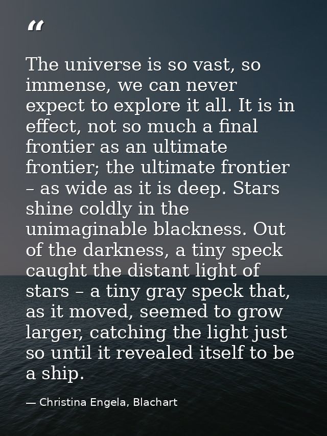 The universe is so vast, so immense, we can never expect to explore it all. It is in effect, not so much a final frontie — Christina Engela, Blachart