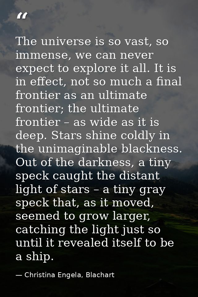 The universe is so vast, so immense, we can never expect to explore it all. It is in effect, not so much a final frontie — Christina Engela, Blachart