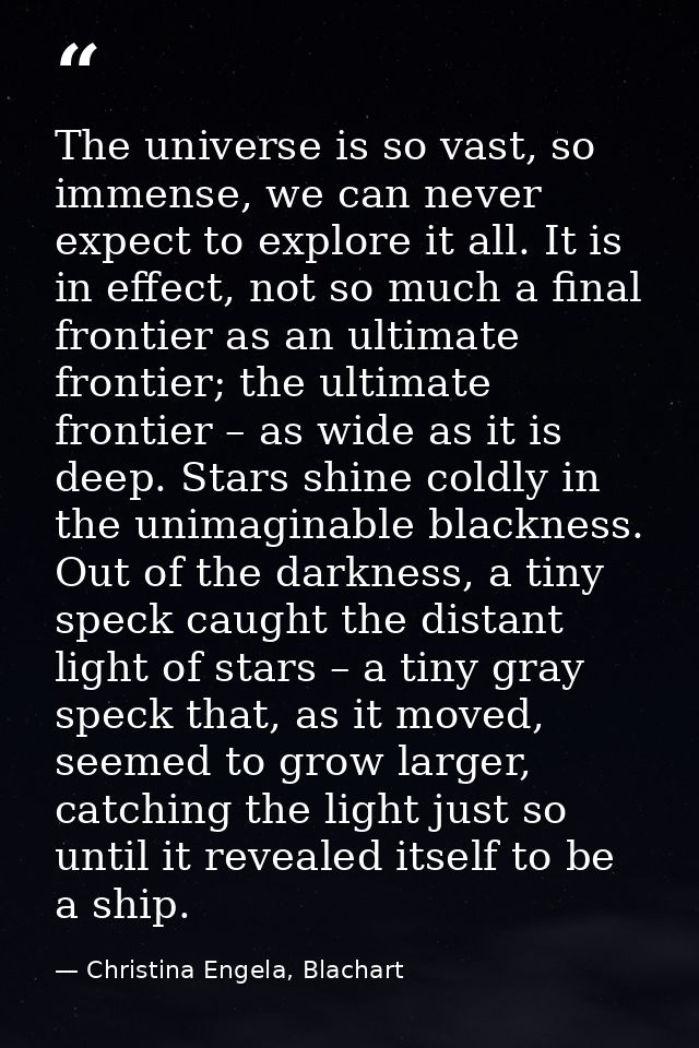 The universe is so vast, so immense, we can never expect to explore it all. It is in effect, not so much a final frontie — Christina Engela, Blachart