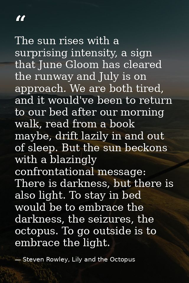 The sun rises with a surprising intensity, a sign that June Gloom has cleared the runway and July is on approach. We are — Steven Rowley, Lily and the Octopus