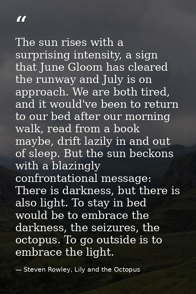 The sun rises with a surprising intensity, a sign that June Gloom has cleared the runway and July is on approach. We are — Steven Rowley, Lily and the Octopus