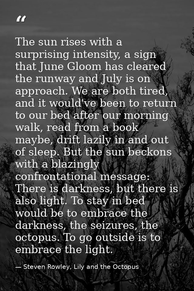 The sun rises with a surprising intensity, a sign that June Gloom has cleared the runway and July is on approach. We are — Steven Rowley, Lily and the Octopus