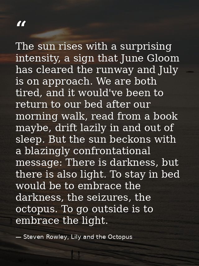The sun rises with a surprising intensity, a sign that June Gloom has cleared the runway and July is on approach. We are — Steven Rowley, Lily and the Octopus
