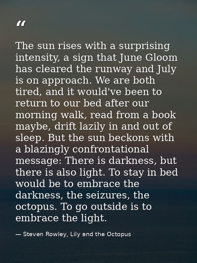 The sun rises with a surprising intensity, a sign that June Gloom has cleared the runway and July is on approach. We are — Steven Rowley, Lily and the Octopus