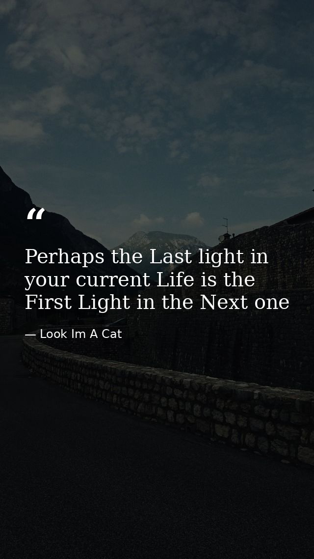 Perhaps the Last light in your current Life is the First Light in the Next one — Look Im A Cat