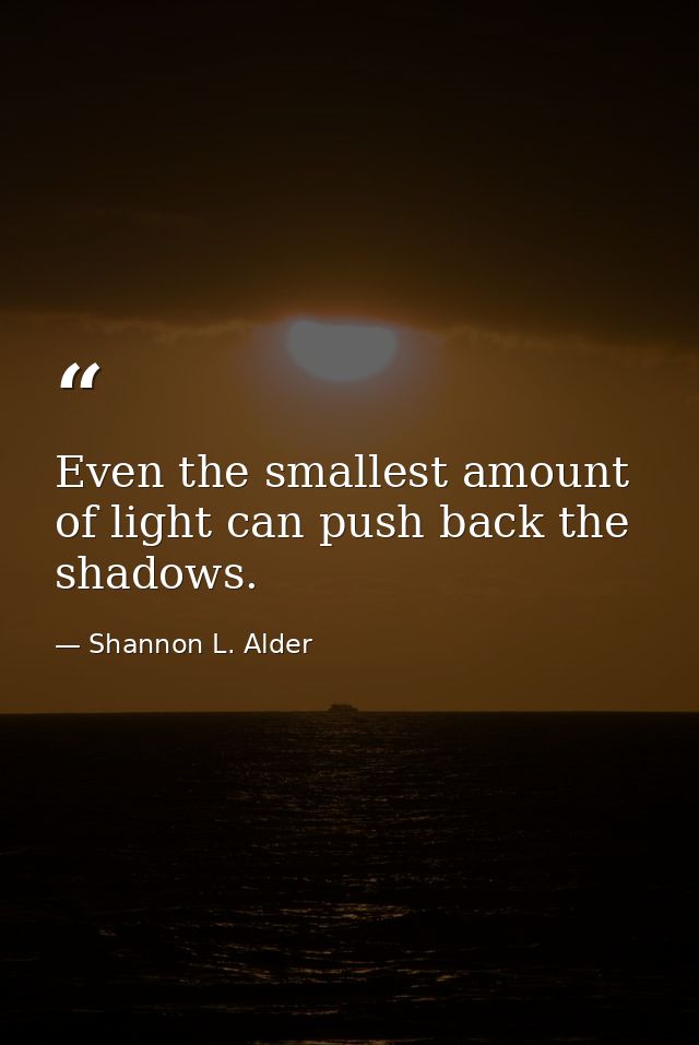Even the smallest amount of light can push back the shadows. — Shannon L. Alder