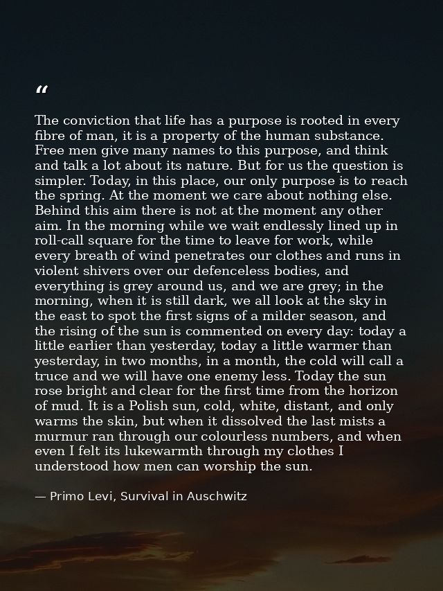 The conviction that life has a purpose is rooted in every fibre of man, it is a property of the human substance. Free me — Primo Levi, Survival in Auschwitz