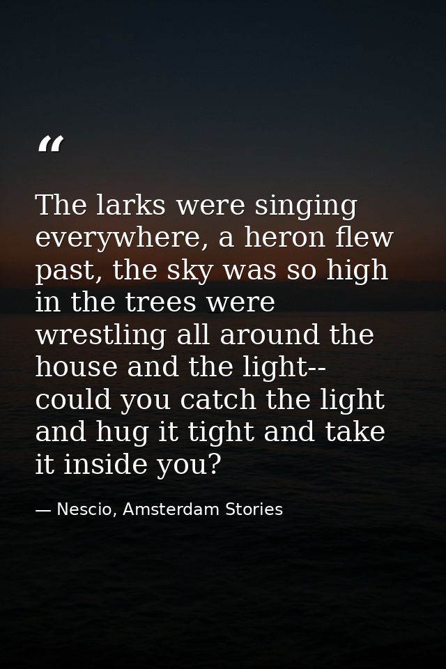 The larks were singing everywhere, a heron flew past, the sky was so high in the trees were wrestling all around the hou — Nescio, Amsterdam Stories
