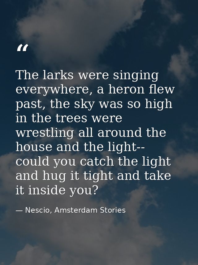 The larks were singing everywhere, a heron flew past, the sky was so high in the trees were wrestling all around the hou — Nescio, Amsterdam Stories