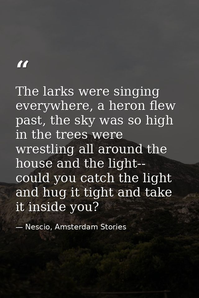 The larks were singing everywhere, a heron flew past, the sky was so high in the trees were wrestling all around the hou — Nescio, Amsterdam Stories
