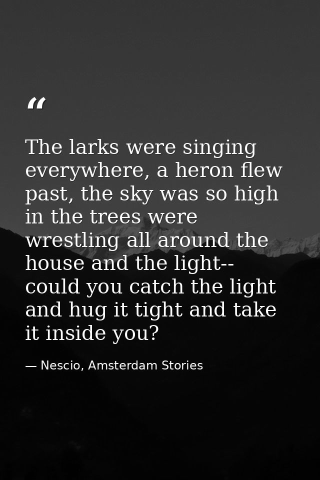 The larks were singing everywhere, a heron flew past, the sky was so high in the trees were wrestling all around the hou — Nescio, Amsterdam Stories