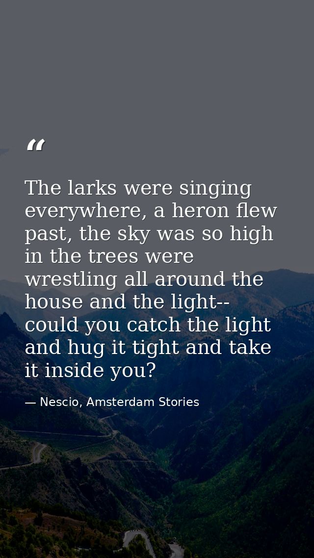The larks were singing everywhere, a heron flew past, the sky was so high in the trees were wrestling all around the hou — Nescio, Amsterdam Stories