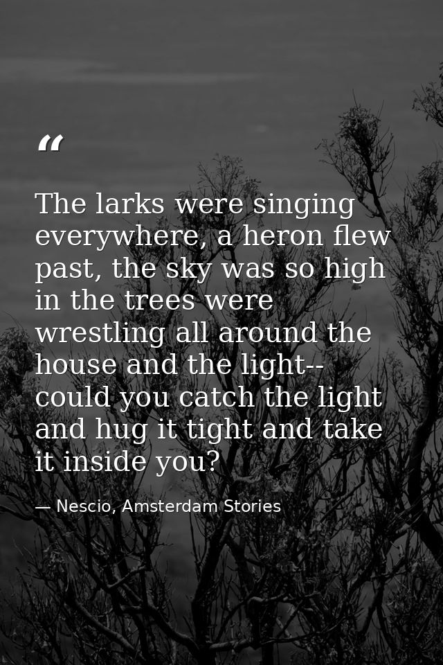 The larks were singing everywhere, a heron flew past, the sky was so high in the trees were wrestling all around the hou — Nescio, Amsterdam Stories