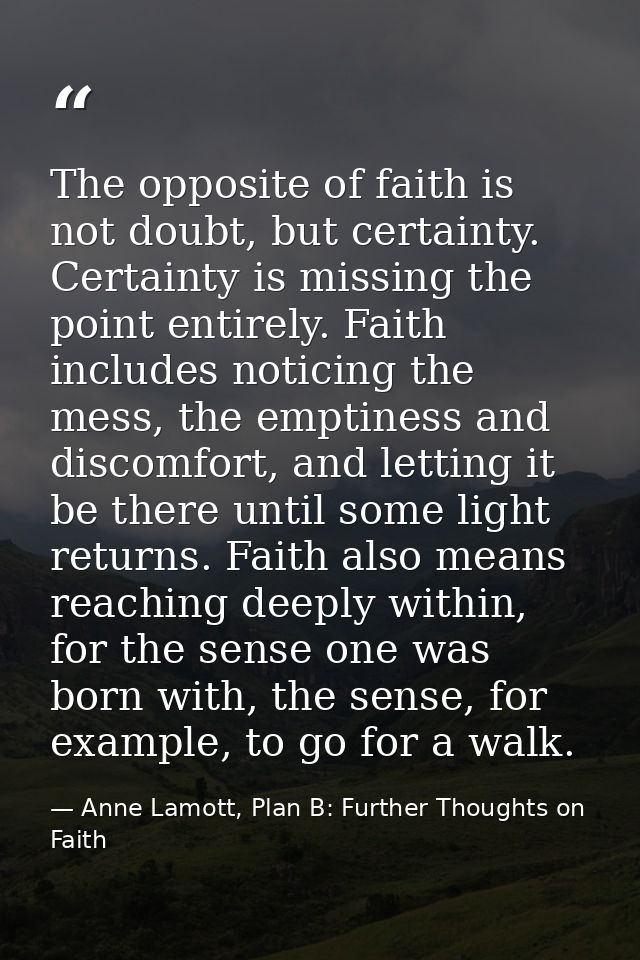The opposite of faith is not doubt, but certainty. Certainty is missing the point entirely. Faith includes noticing the  — Anne Lamott, Plan B: Further Thoughts on Faith
