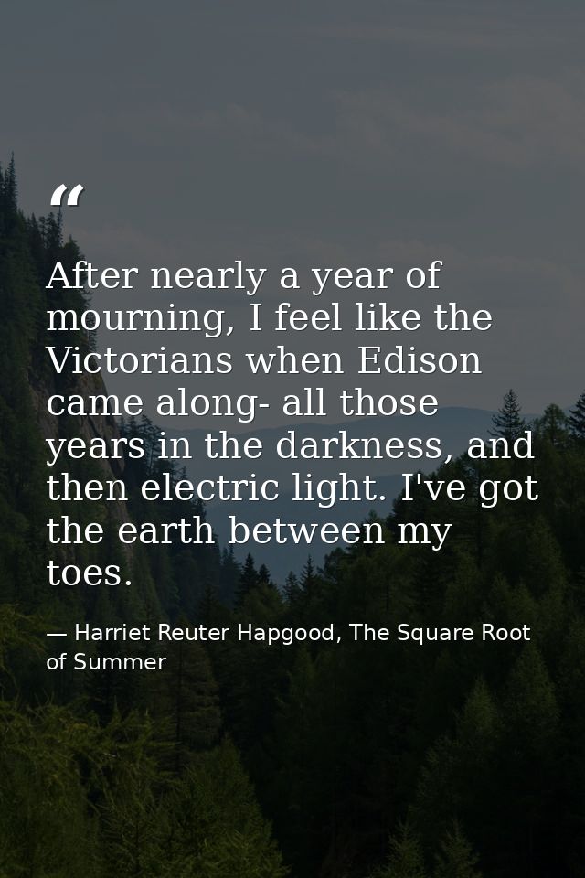 After nearly a year of mourning, I feel like the Victorians when Edison came along- all those years in the darkness, and — Harriet Reuter Hapgood, The Square Root of Summer