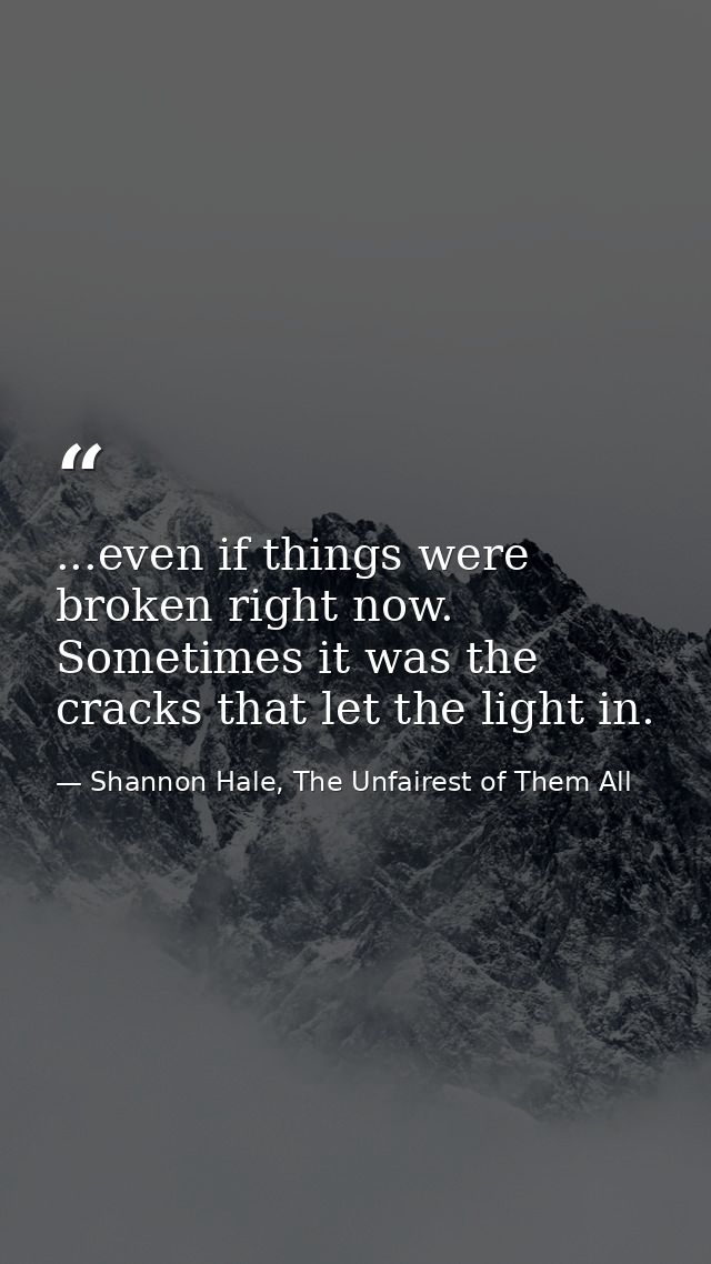 ...even if things were broken right now. Sometimes it was the cracks that let the light in. — Shannon Hale, The Unfairest of Them All