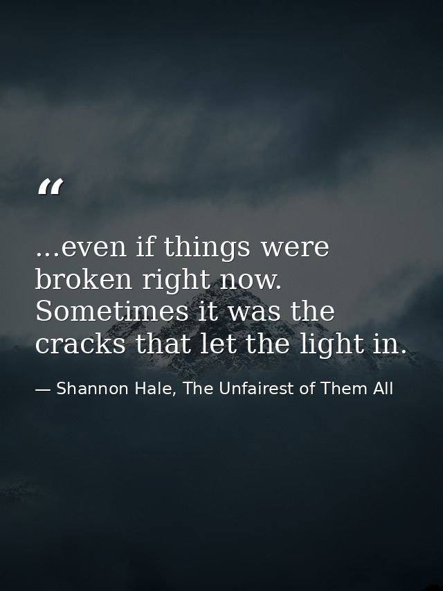 ...even if things were broken right now. Sometimes it was the cracks that let the light in. — Shannon Hale, The Unfairest of Them All