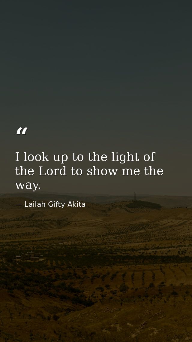 I look up to the light of the Lord to show me the way. — Lailah Gifty Akita