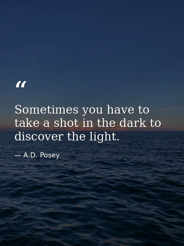 Sometimes you have to take a shot in the dark to discover the light. — A.D. Posey