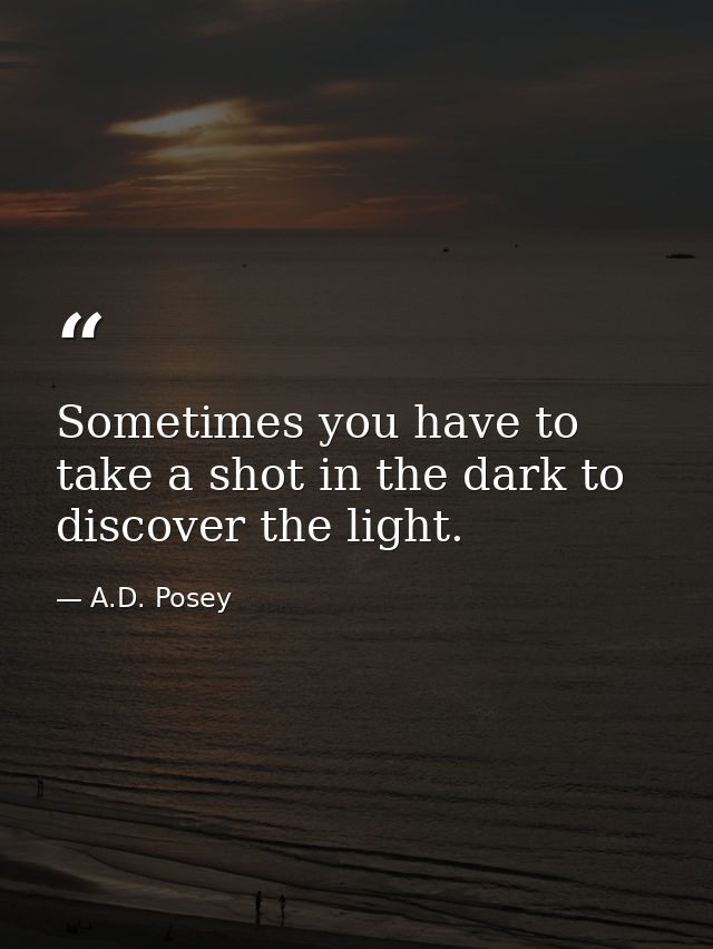 Sometimes you have to take a shot in the dark to discover the light. — A.D. Posey
